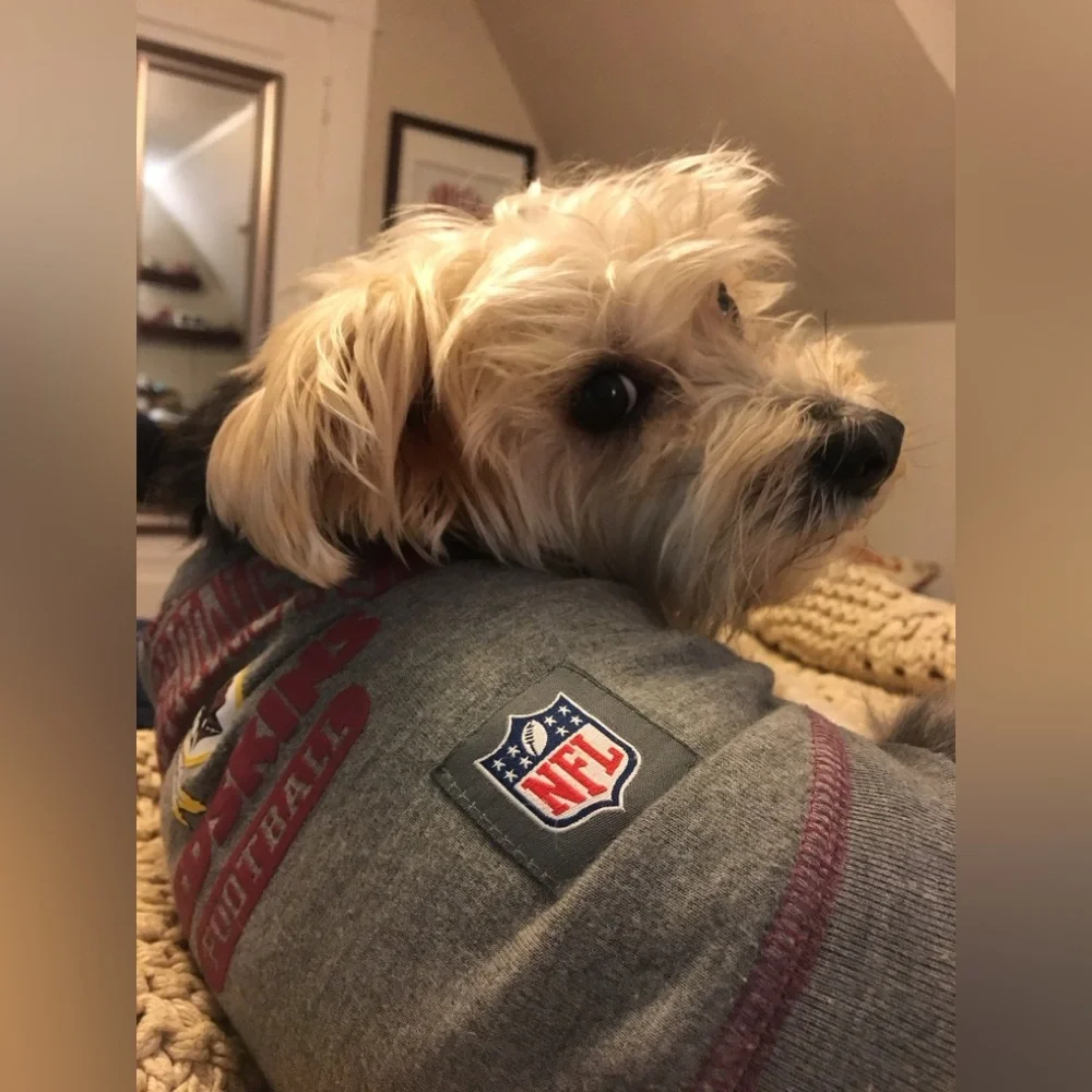 Boo & NFL Pup Jerseys